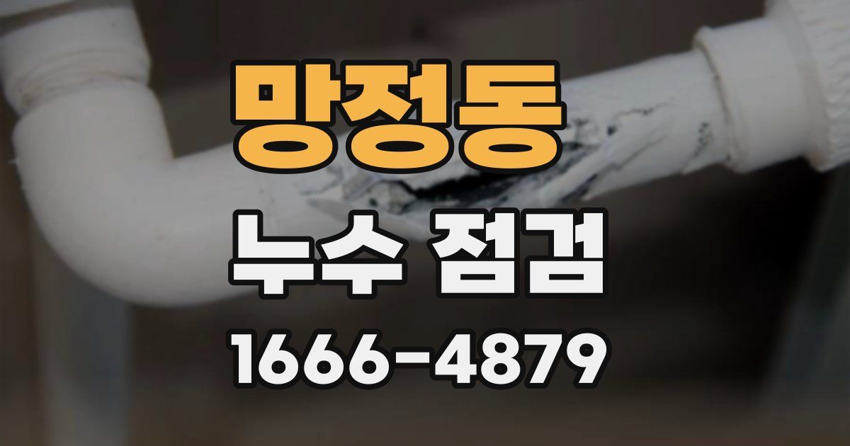 망정동 누수 점검