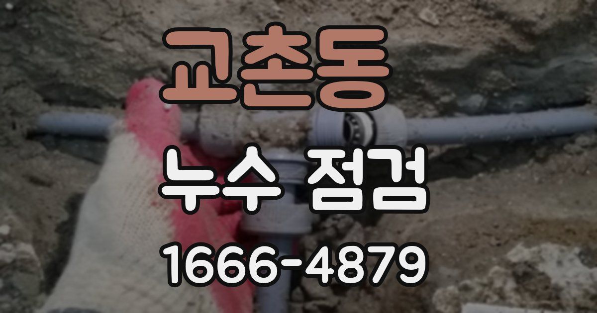 교촌동 누수 점검