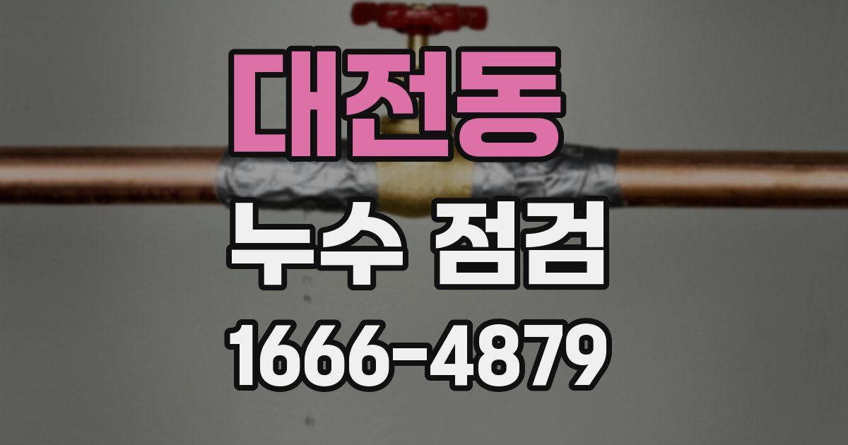 대전동 누수 점검