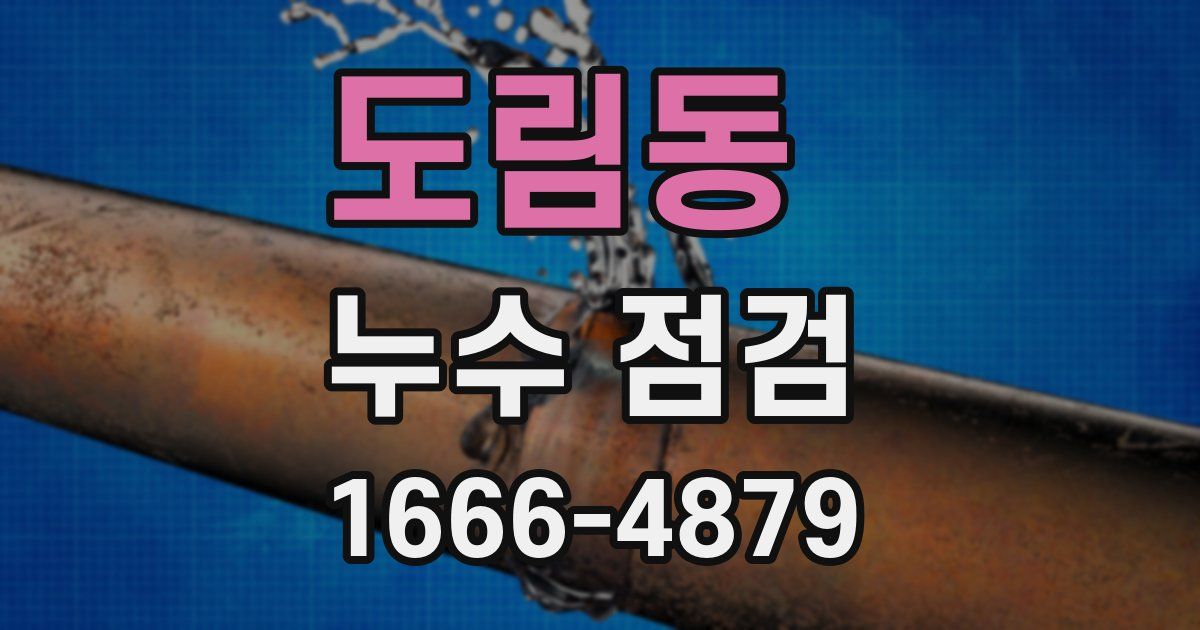 도림동 누수 점검