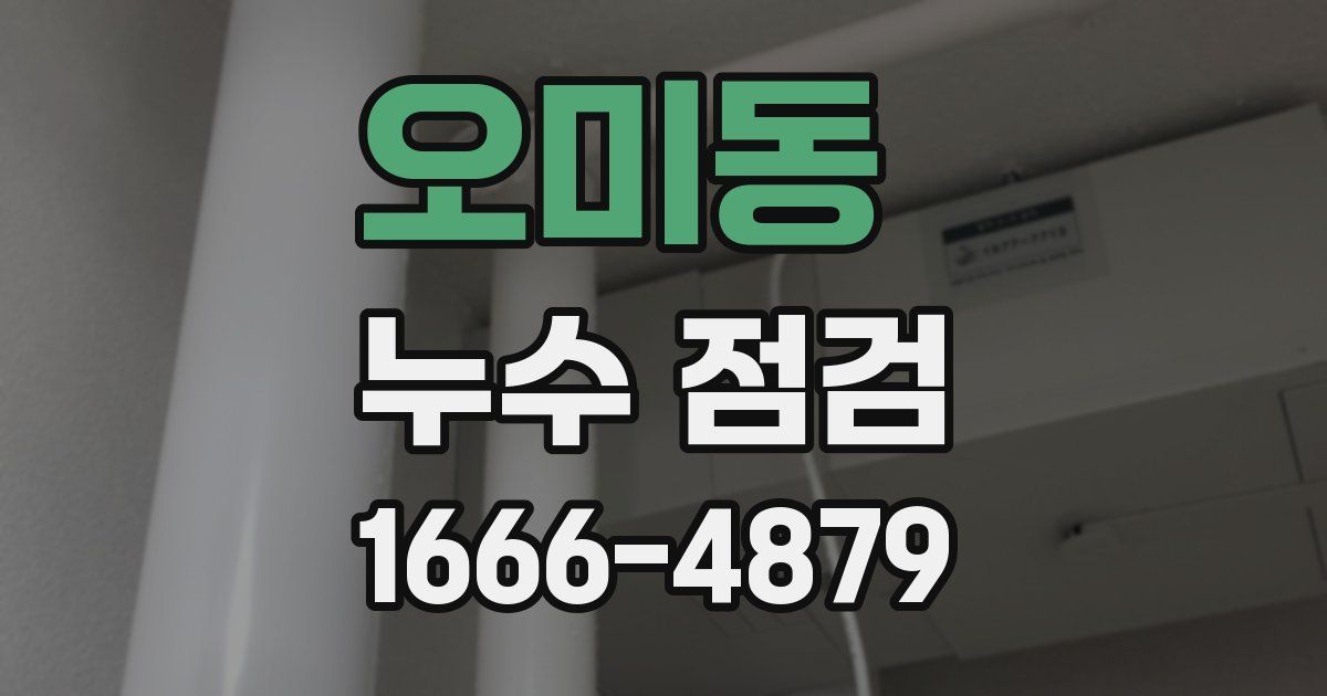 오미동 누수 점검