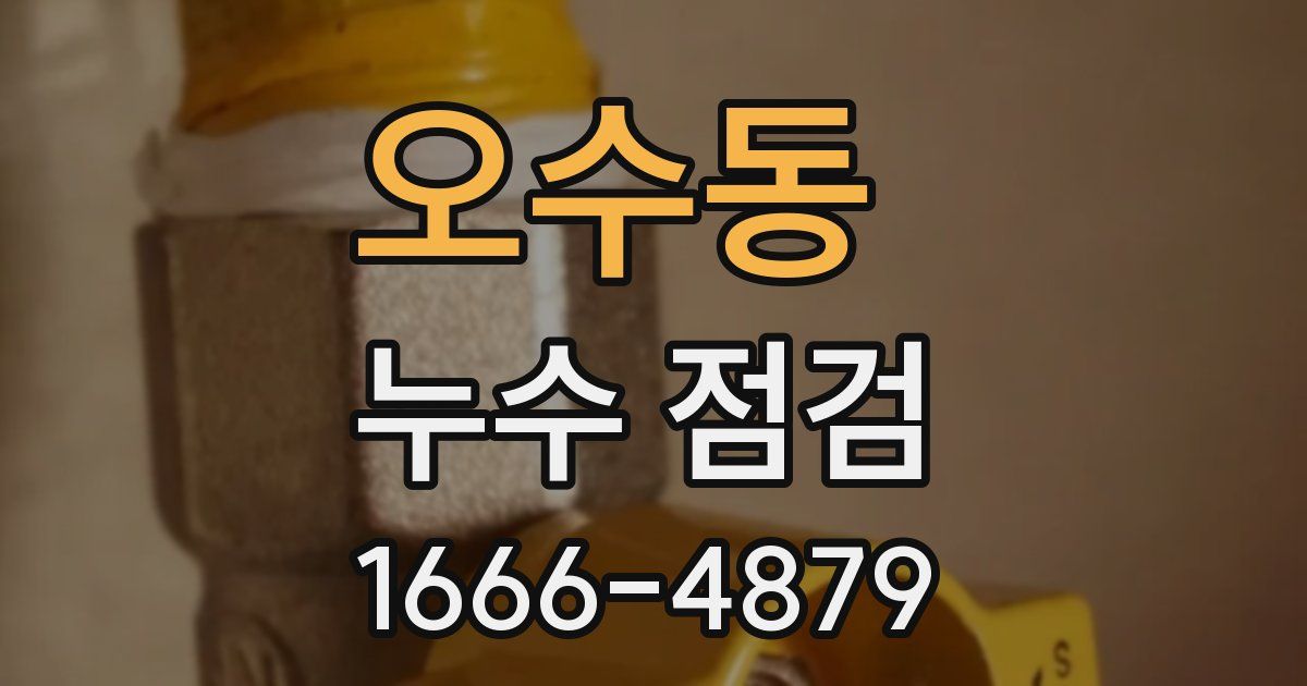 오수동 누수 점검