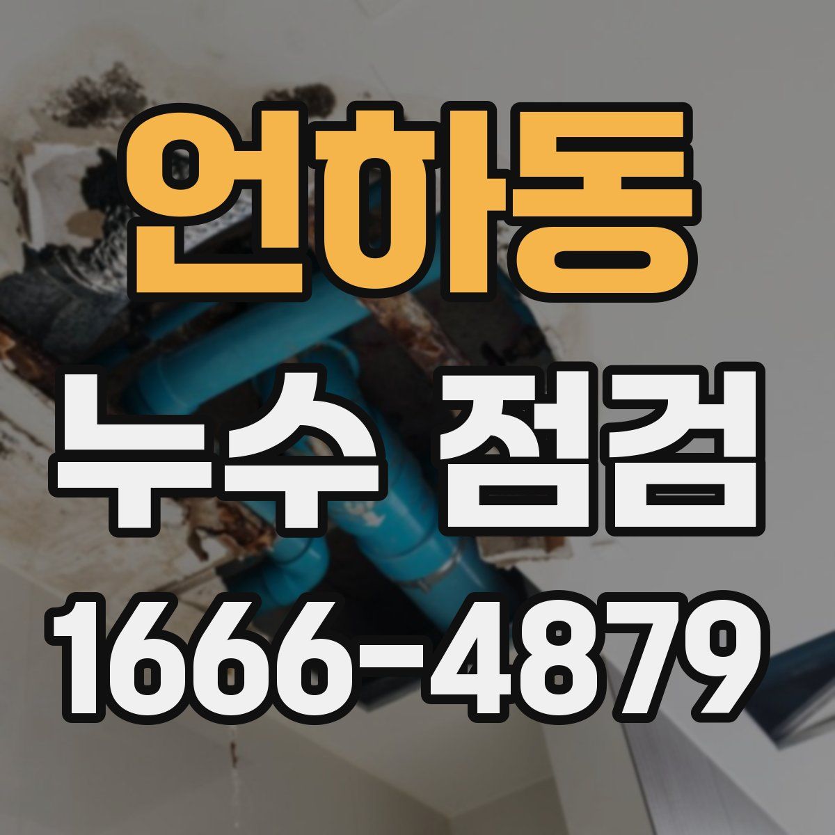 언하동 누수 점검