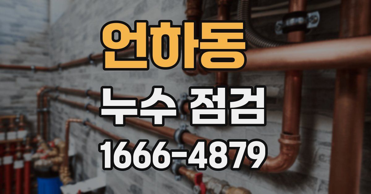 언하동 누수 점검