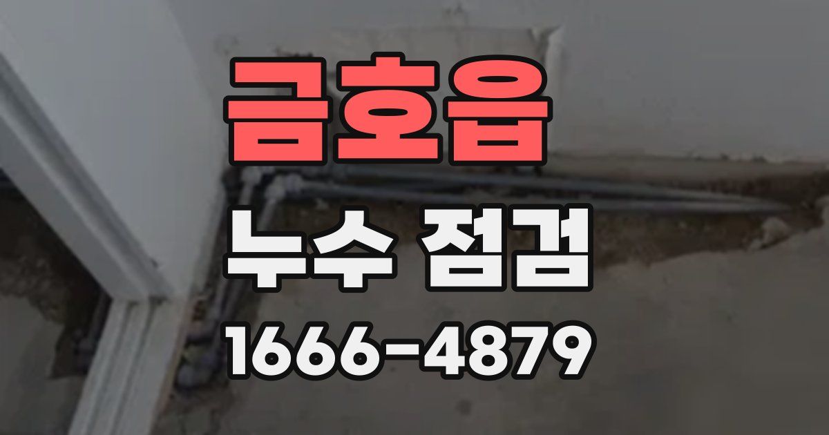 금호읍 누수 점검