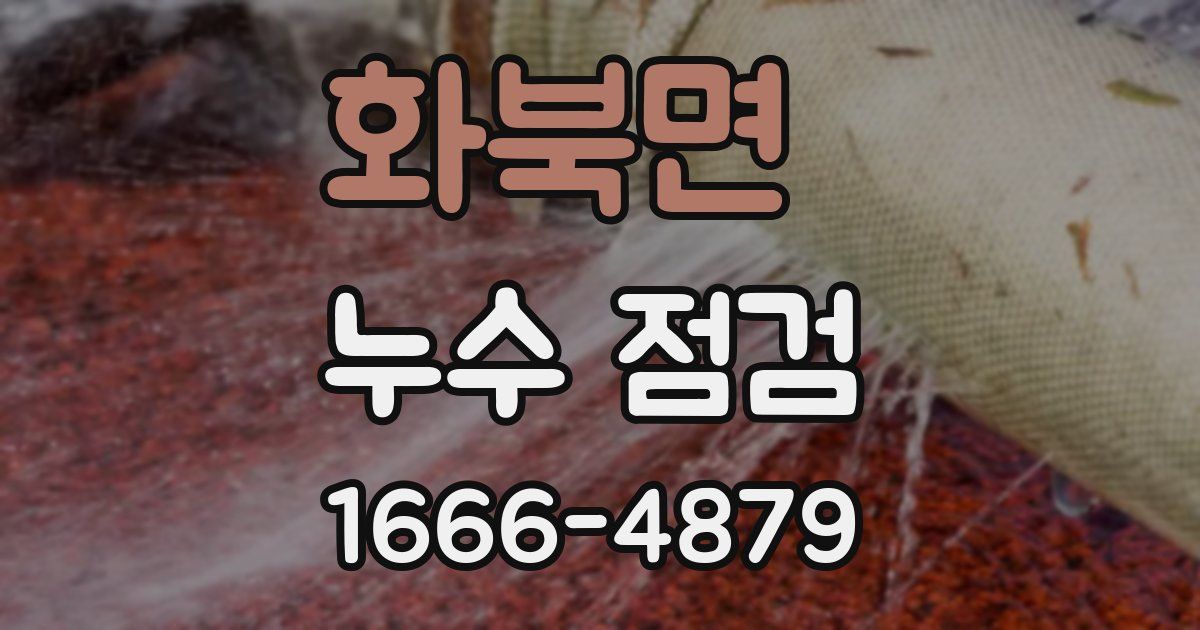 화북면 누수 점검