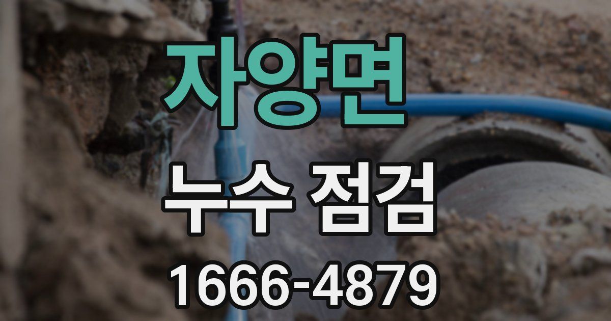 자양면 누수 점검