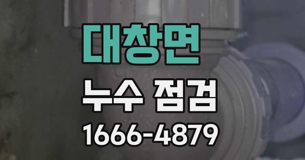 대창면 누수 점검