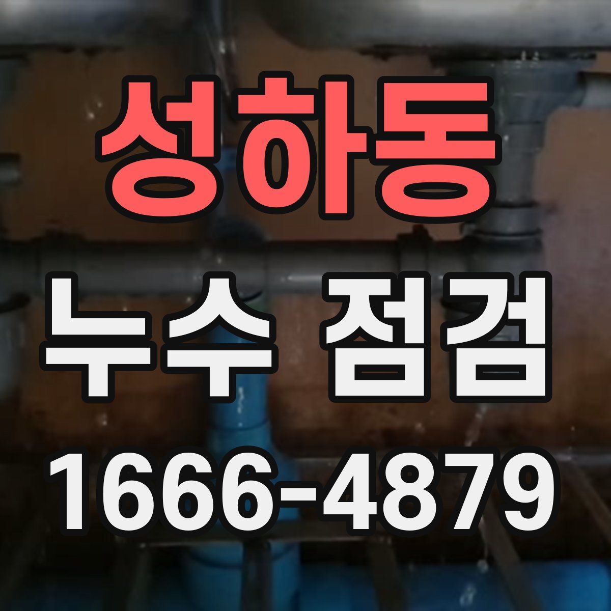 성하동 누수 점검