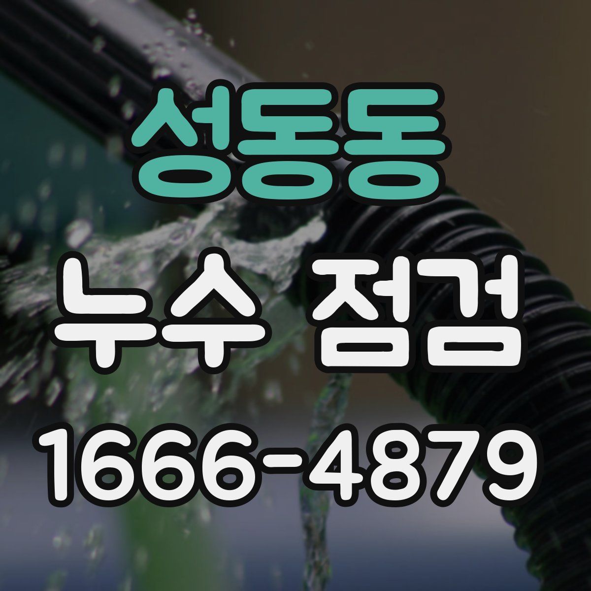 성동동 누수 점검