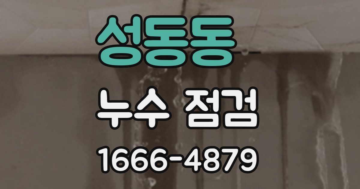 성동동 누수 점검