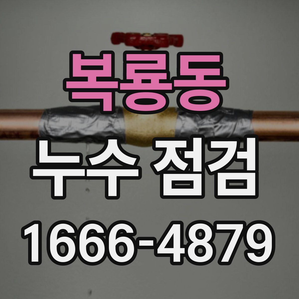 복룡동 누수 점검