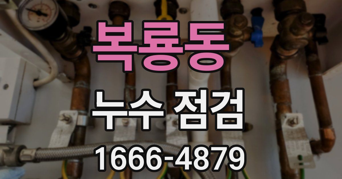 복룡동 누수 점검