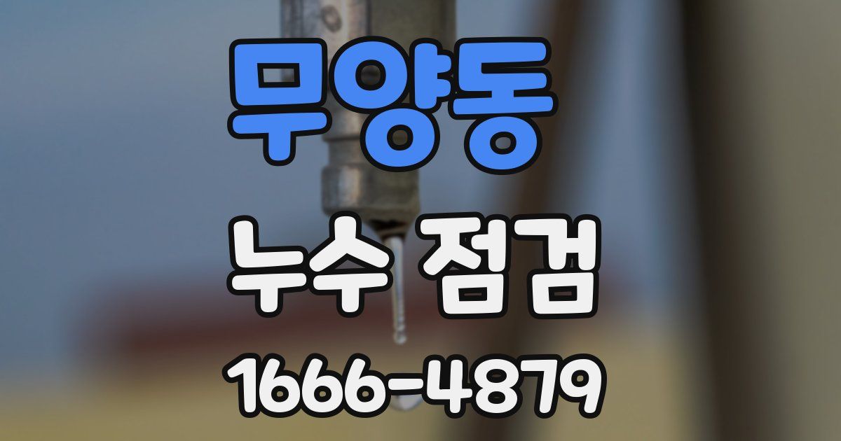 무양동 누수 점검