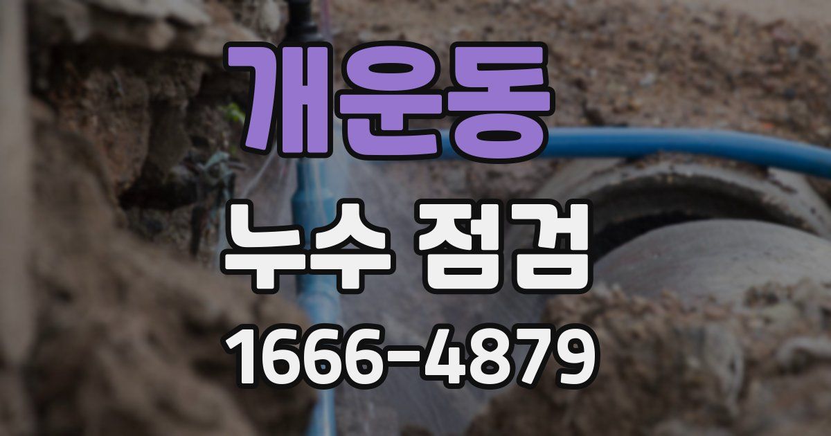 개운동 누수 점검