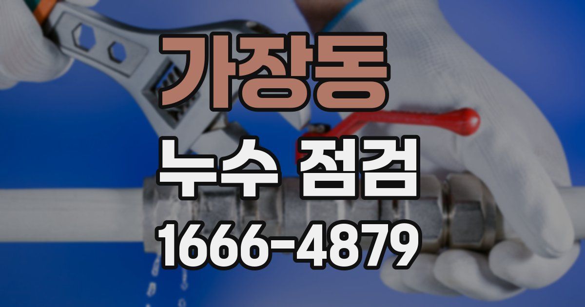 가장동 누수 점검