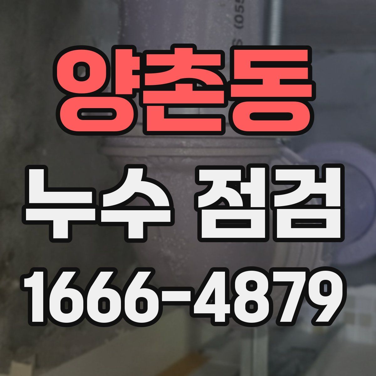 양촌동 누수 점검