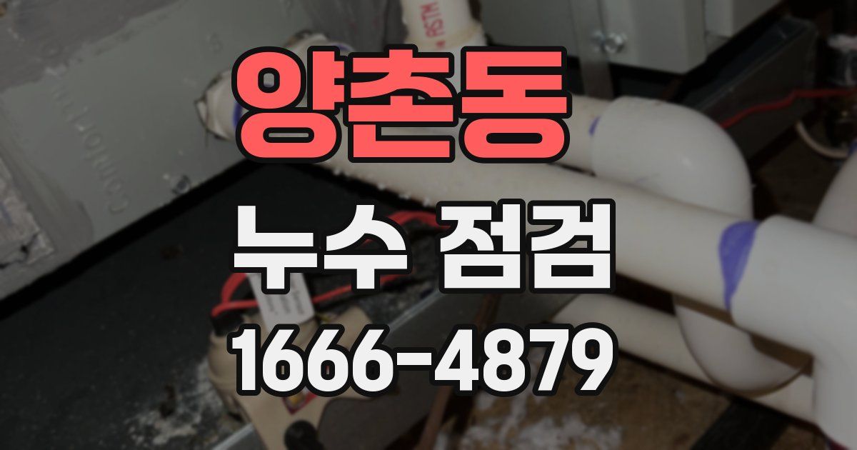 양촌동 누수 점검