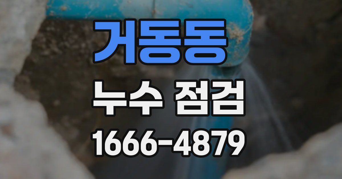 거동동 누수 점검