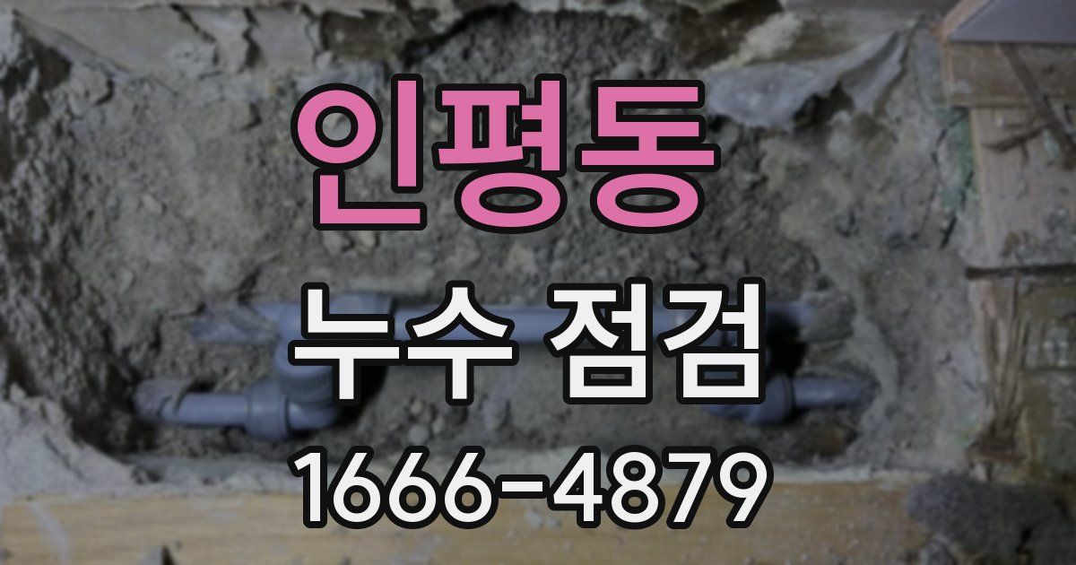 인평동 누수 점검