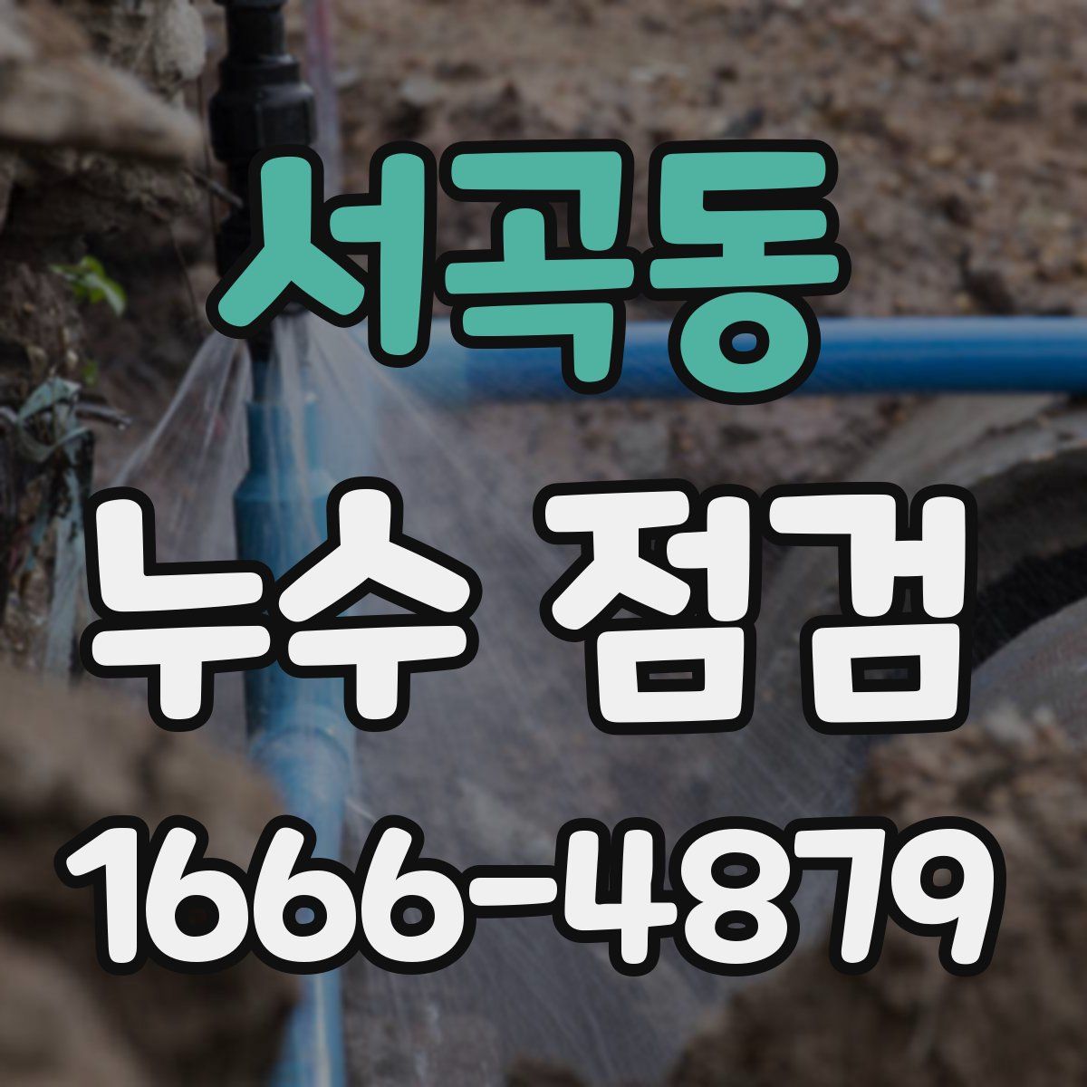 서곡동 누수 점검