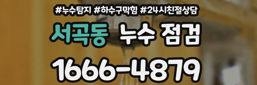 서곡동 누수 점검