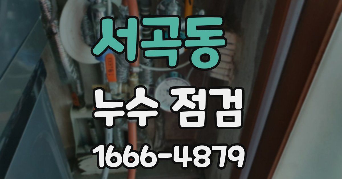 서곡동 누수 점검