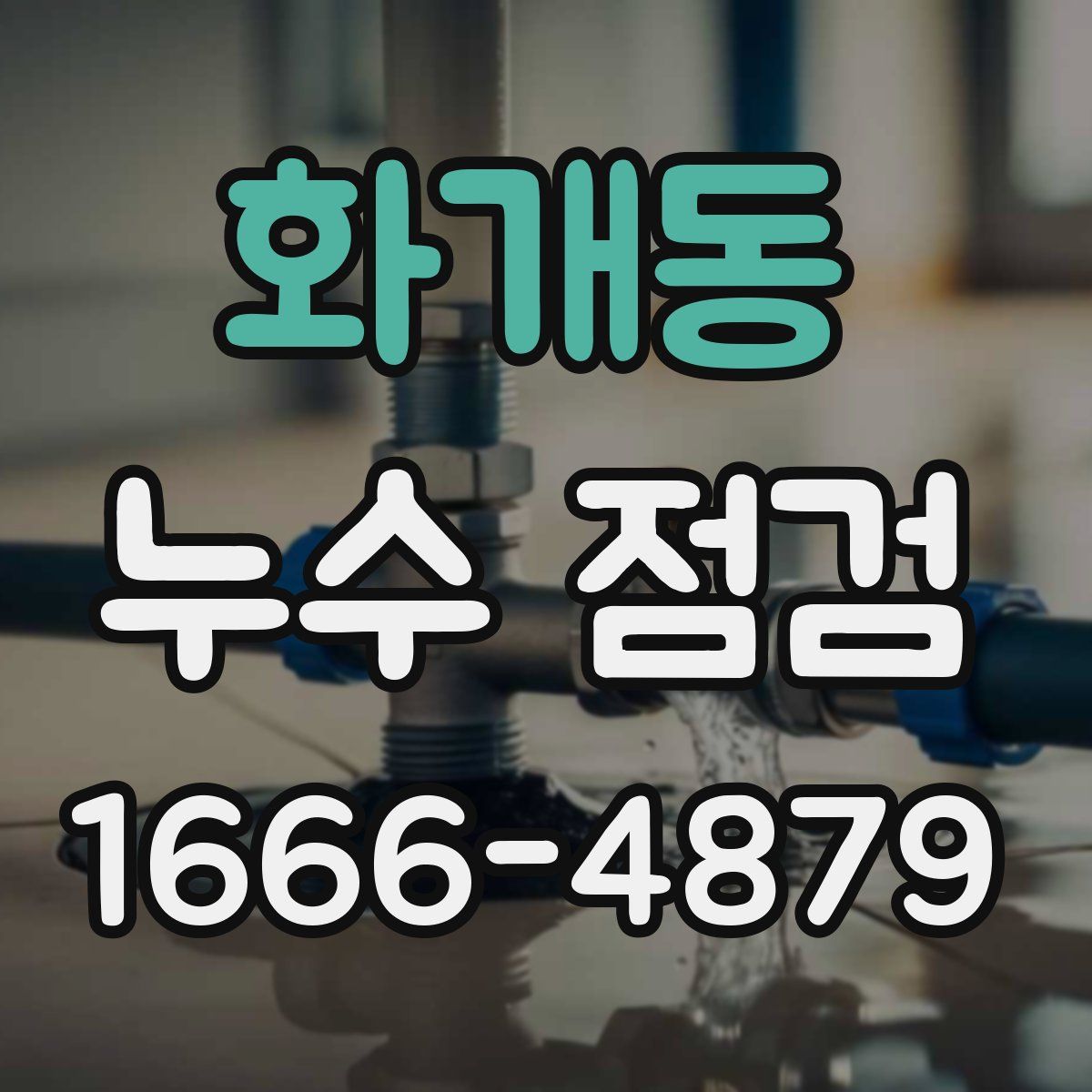 화개동 누수 점검