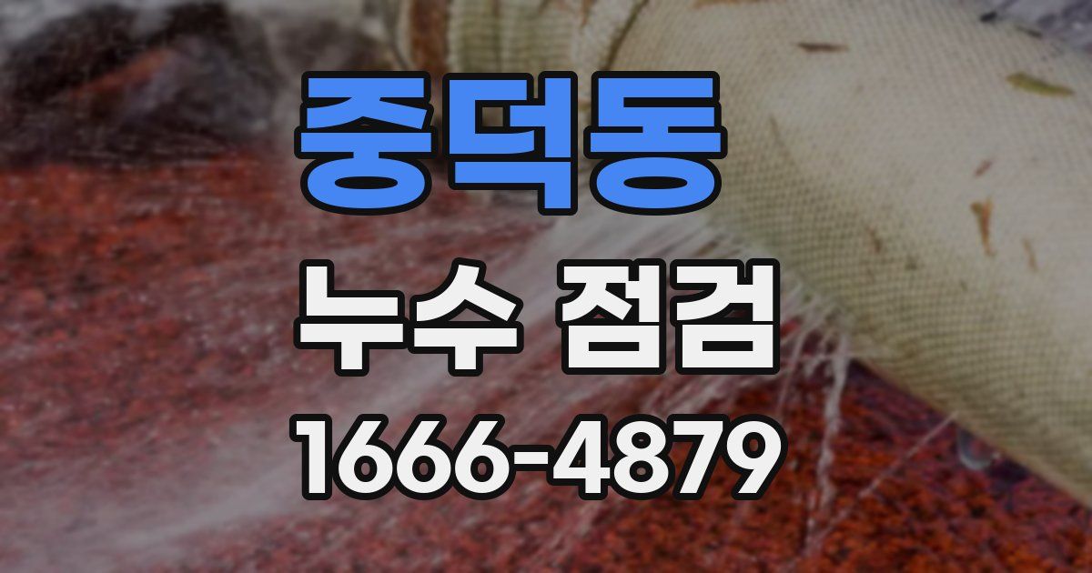 중덕동 누수 점검