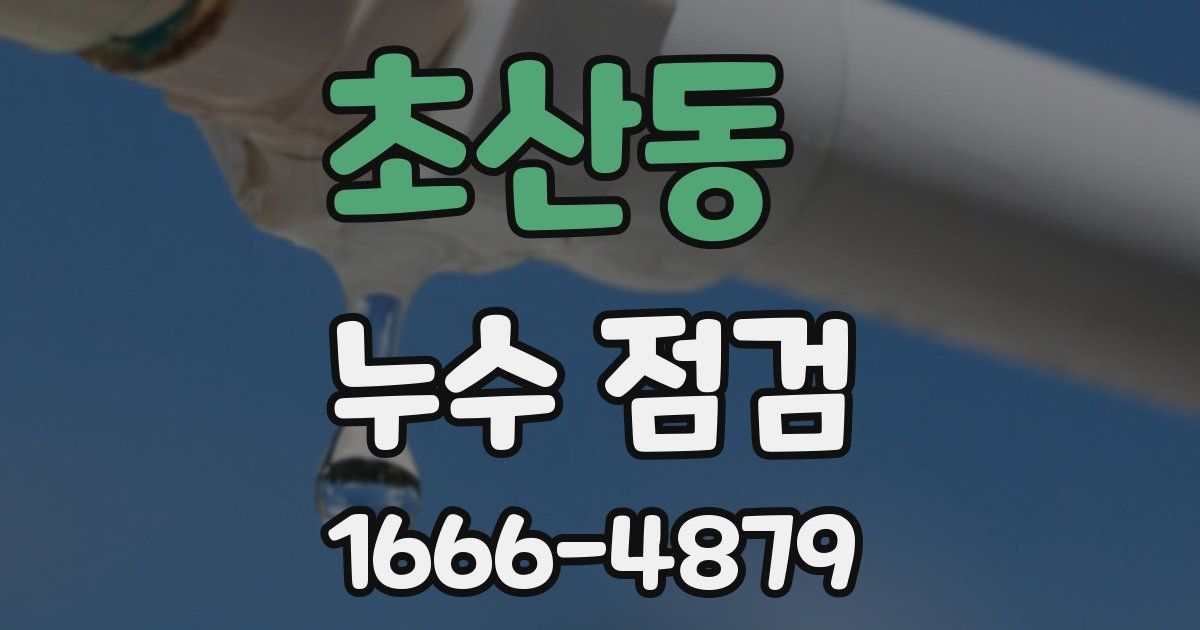초산동 누수 점검