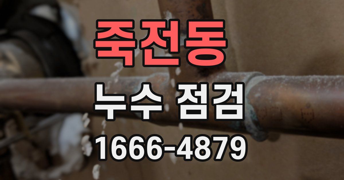 죽전동 누수 점검