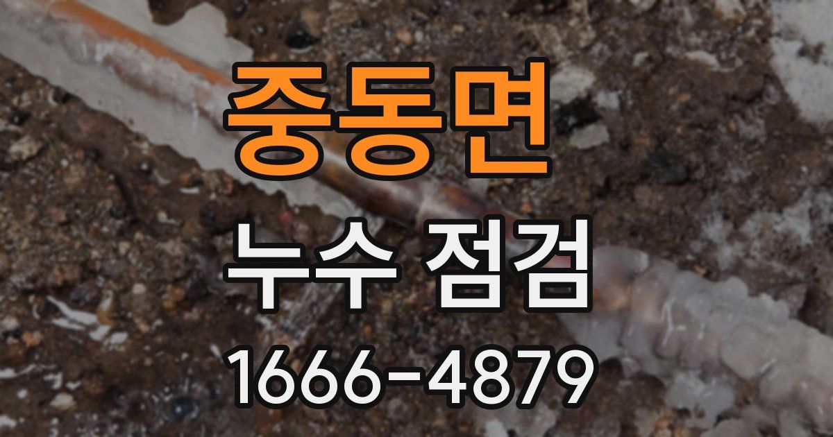 중동면 누수 점검