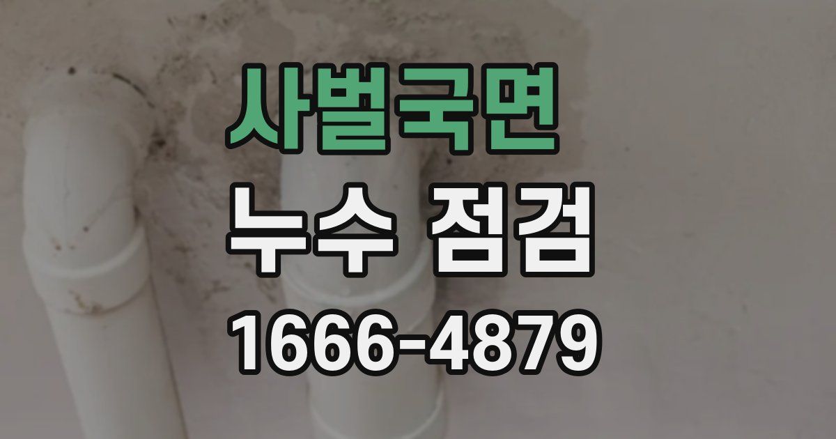 사벌국면 누수 점검