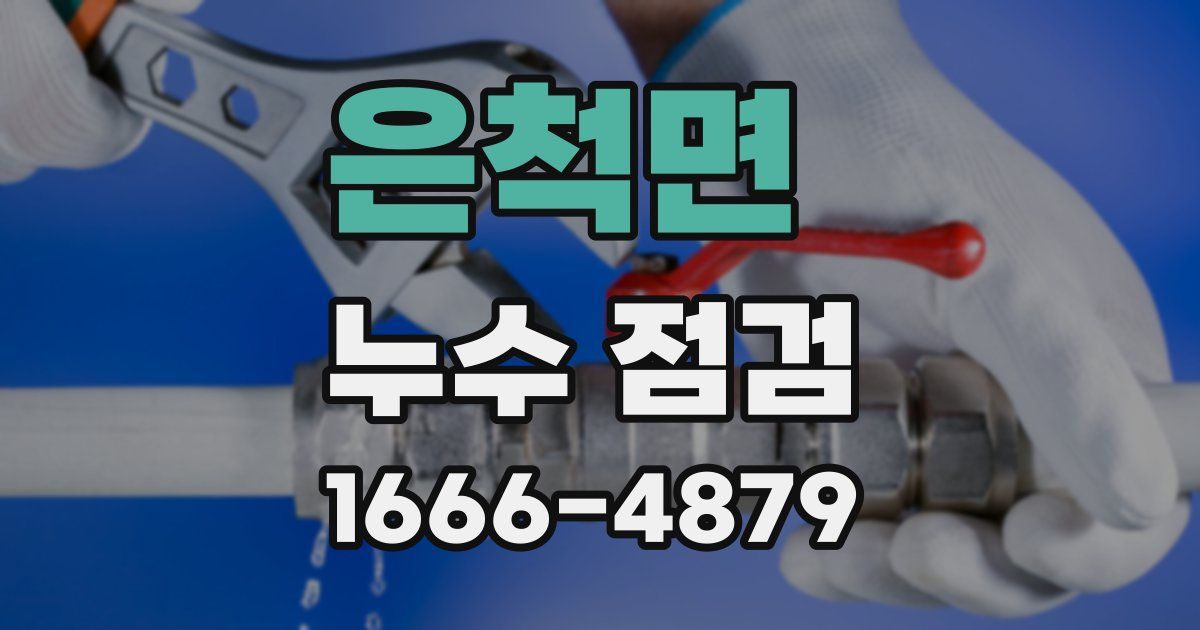 은척면 누수 점검