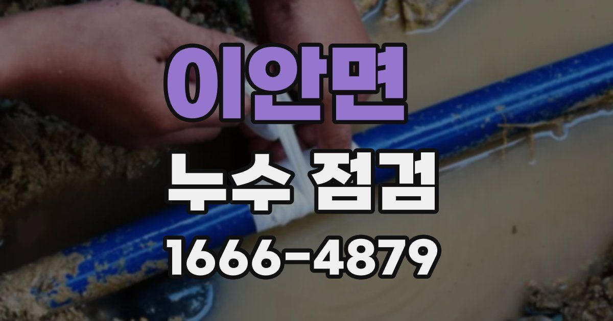 이안면 누수 점검