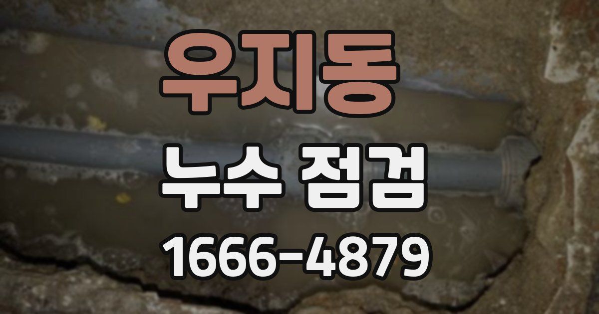 우지동 누수 점검
