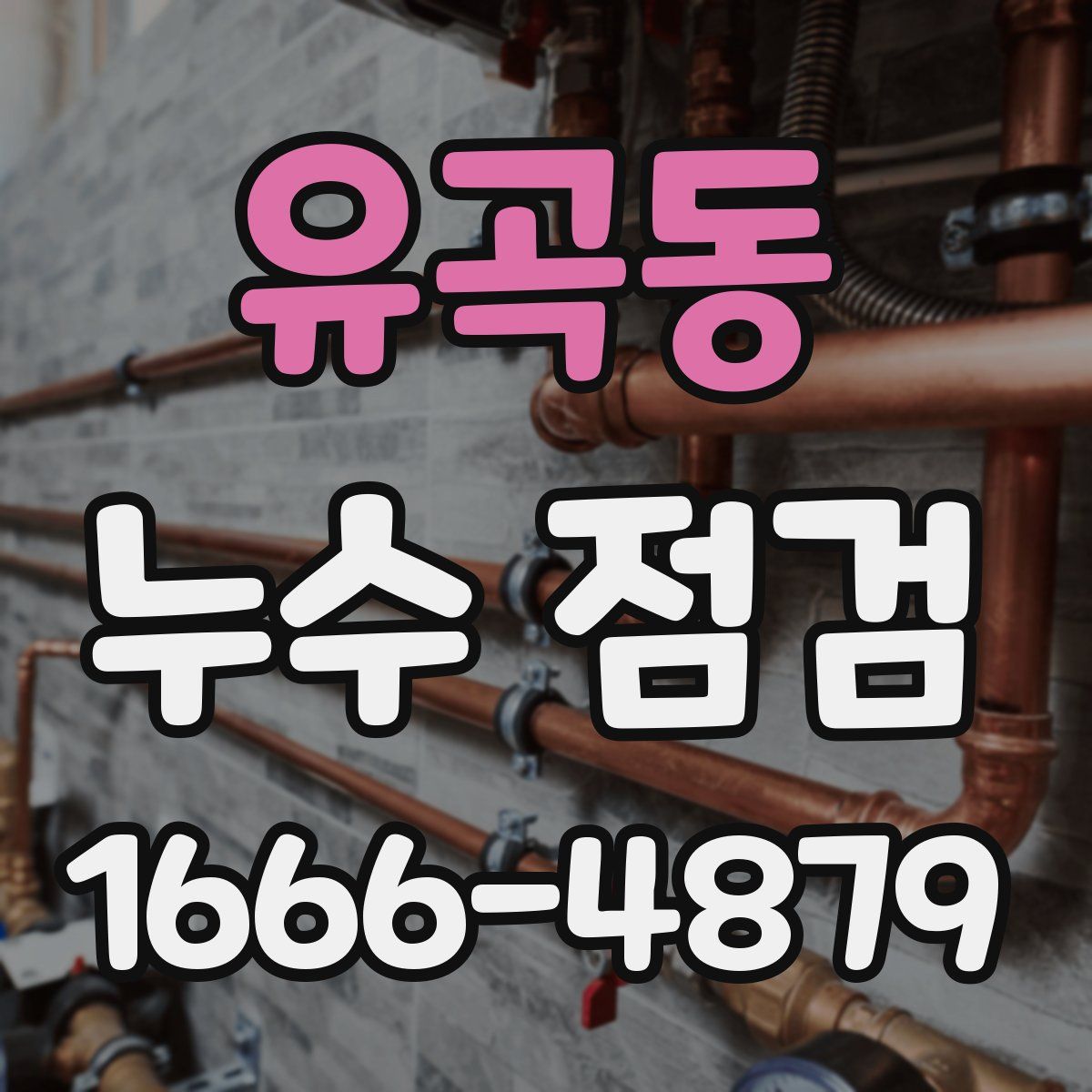 유곡동 누수 점검