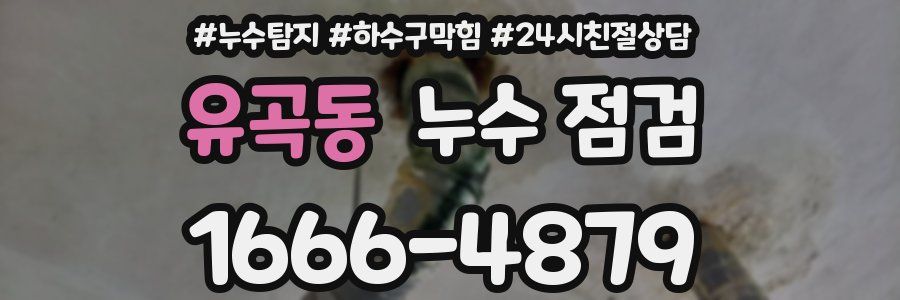유곡동 누수 점검