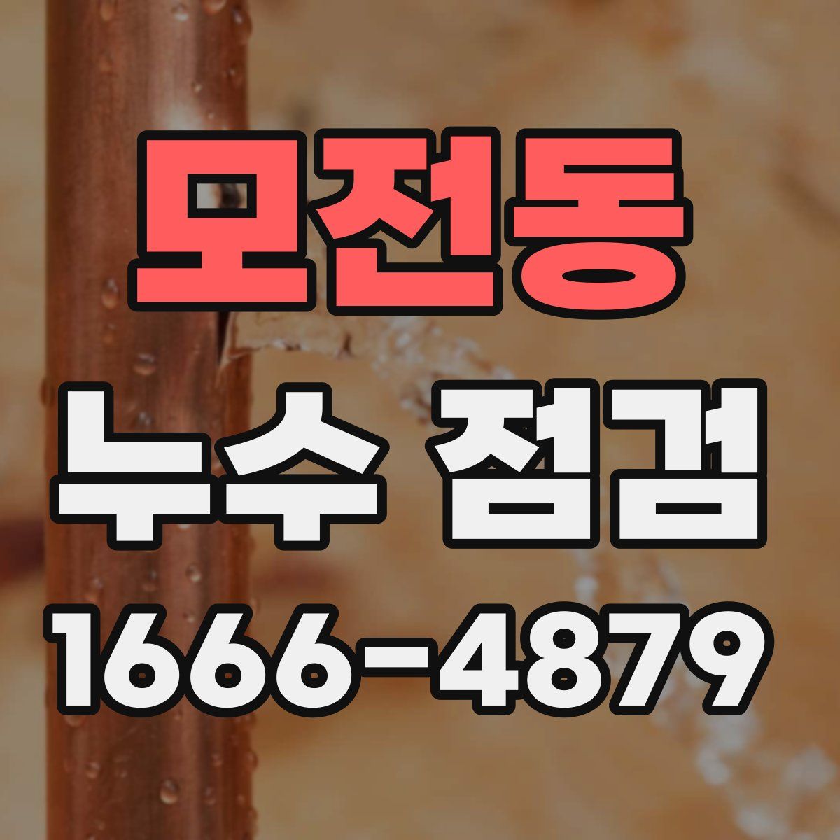 모전동 누수 점검
