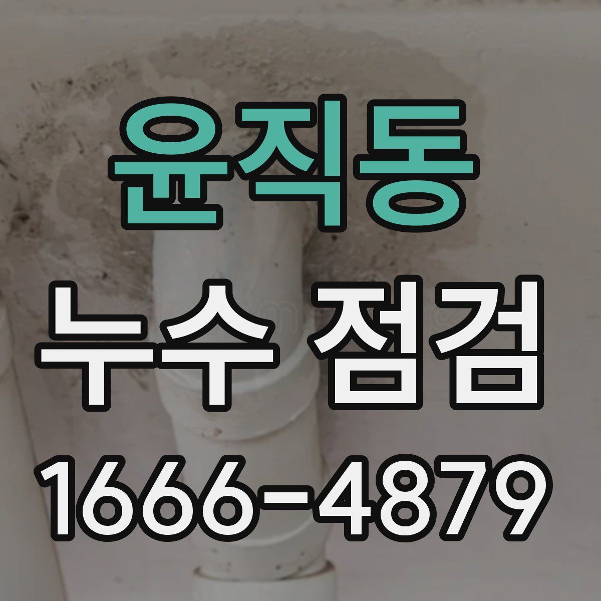 윤직동 누수 점검