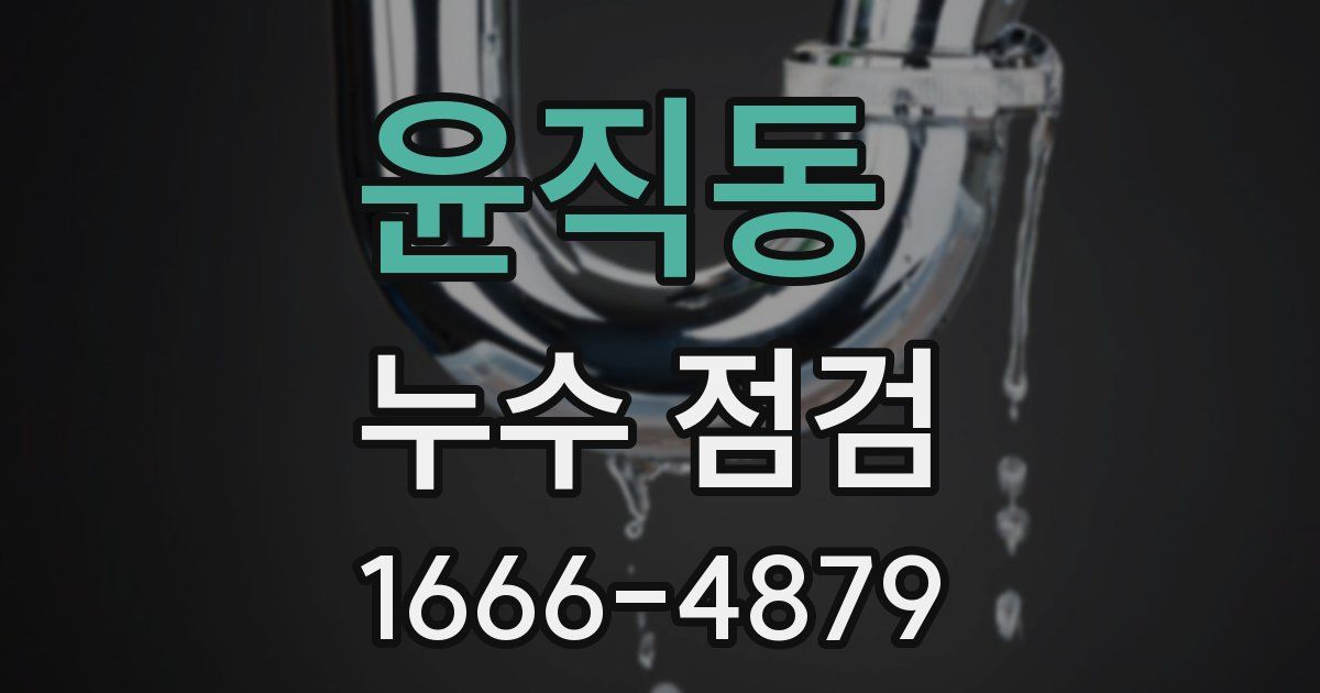 윤직동 누수 점검