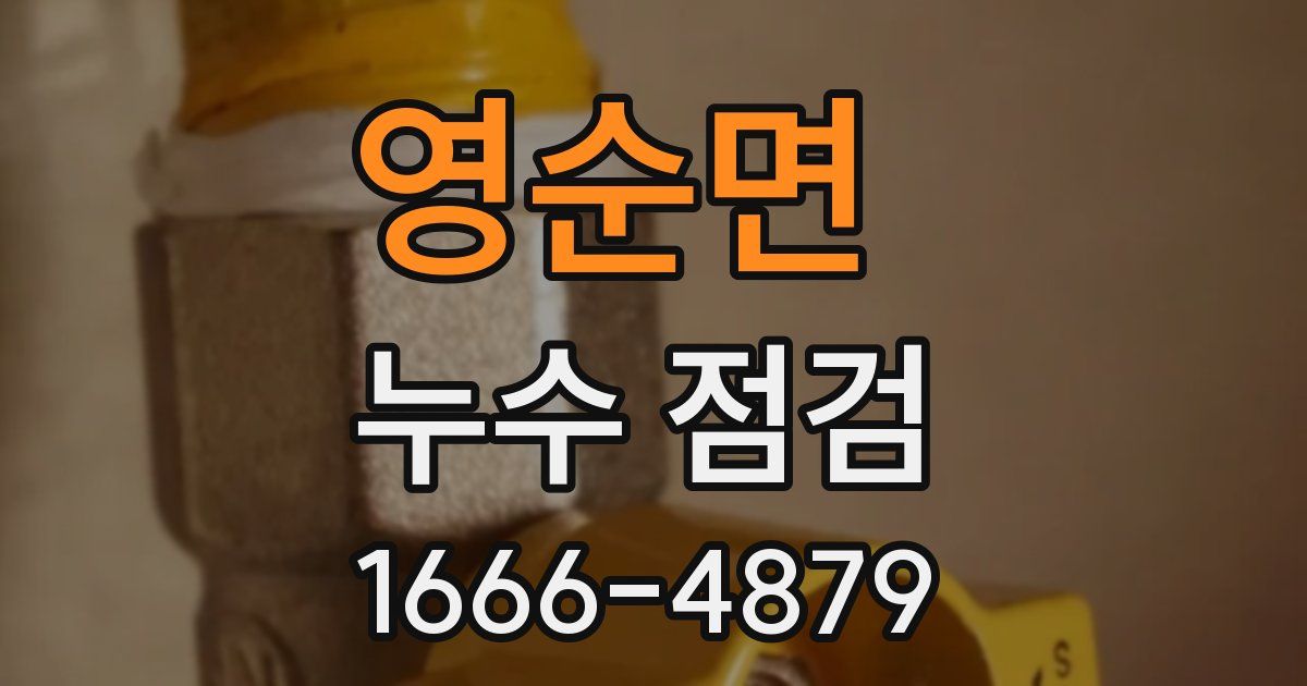 영순면 누수 점검