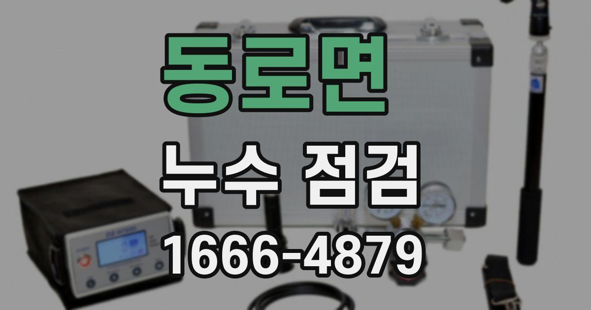 동로면 누수 점검