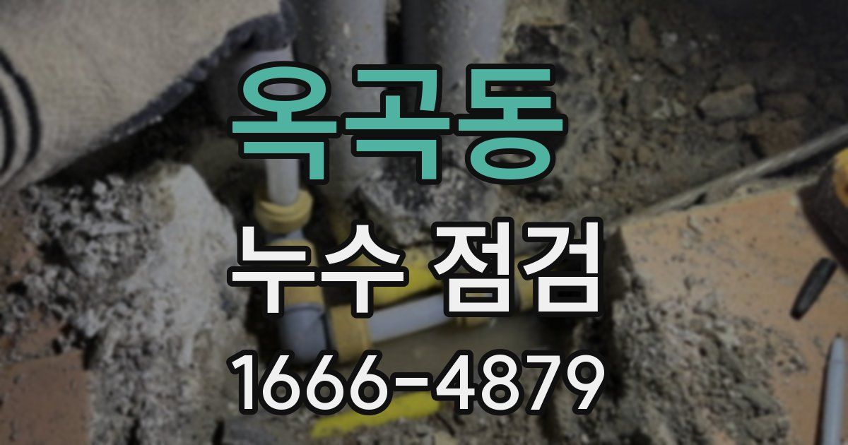옥곡동 누수 점검