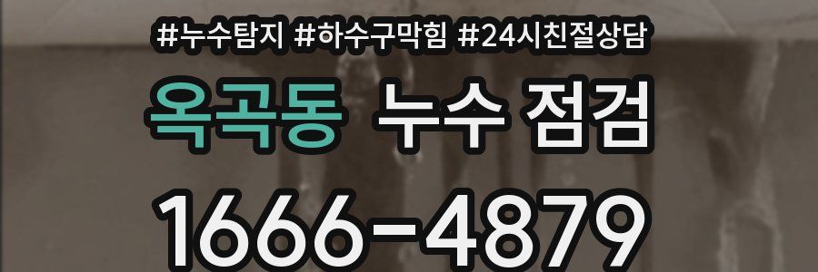 옥곡동 누수 점검