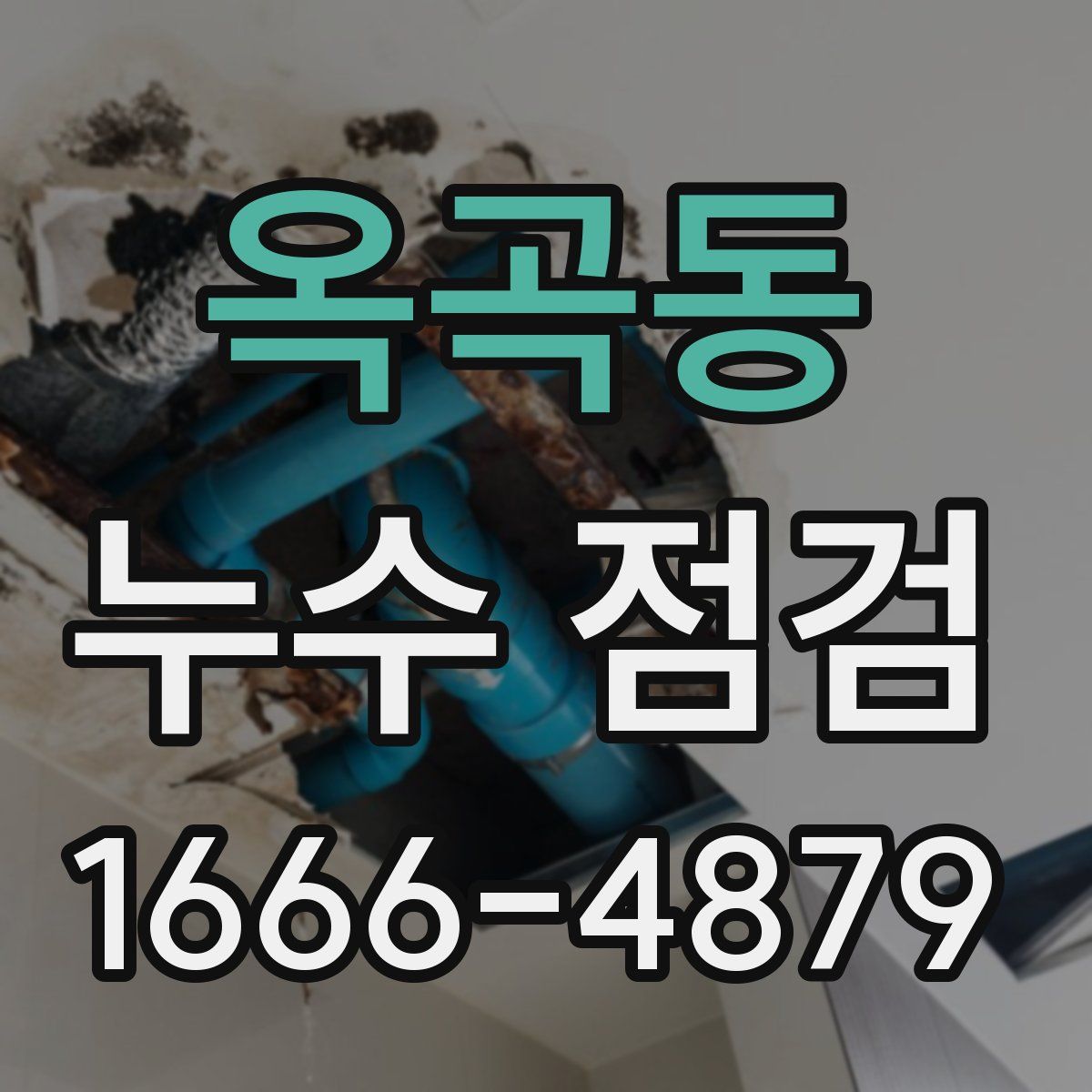 옥곡동 누수 점검