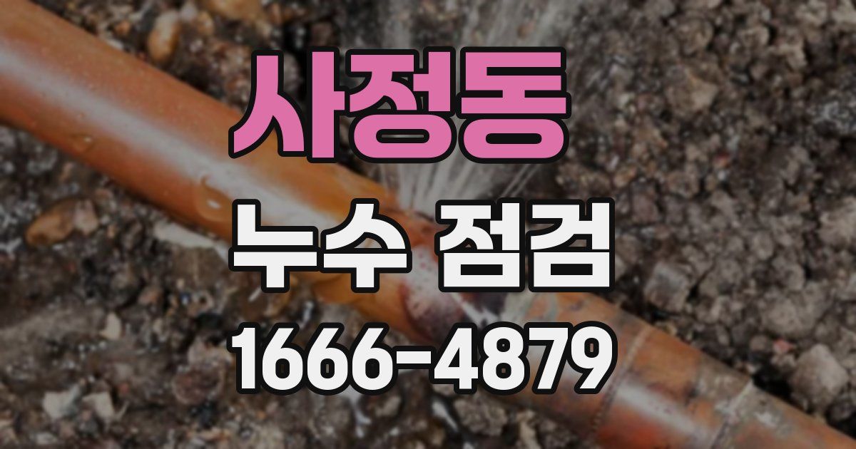 사정동 누수 점검