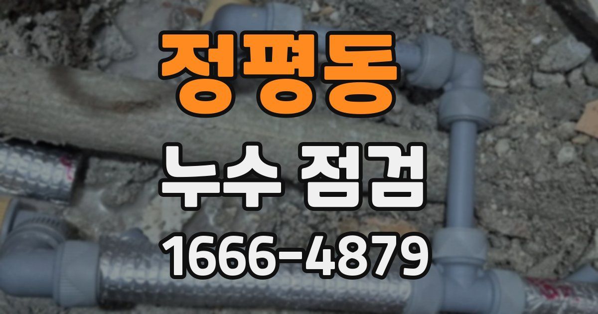 정평동 누수 점검