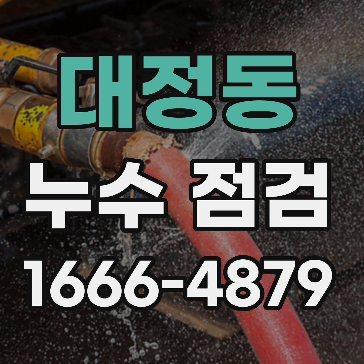 대정동 누수 점검