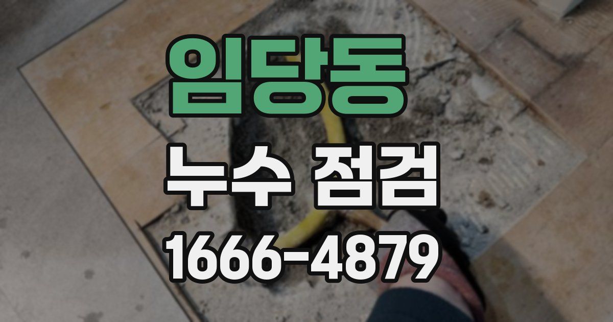 임당동 누수 점검